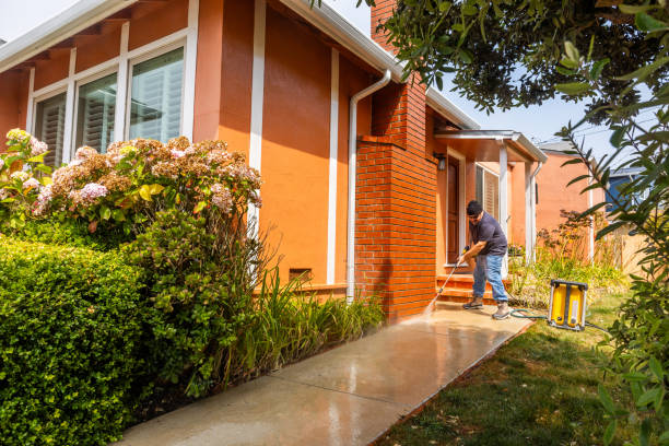 Roof Power Washing Services in Weldon, NC