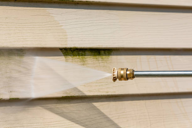 Best Concrete Pressure Washing  in Weldon, NC